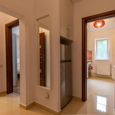 Center Apartment Sinaia