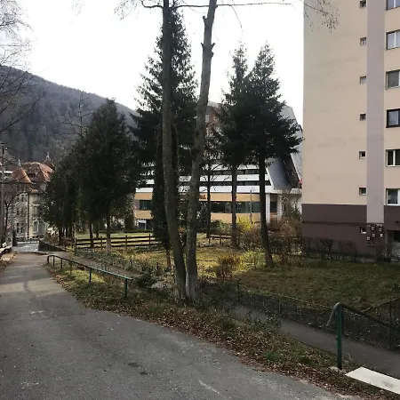 Center * Sinaia