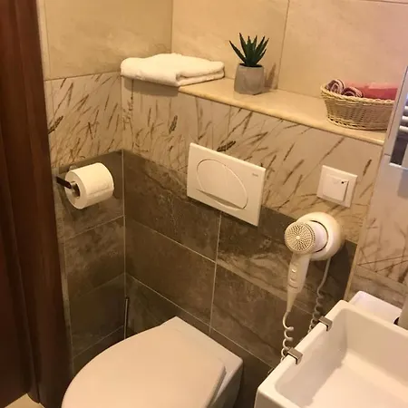 Center Apartment Sinaia