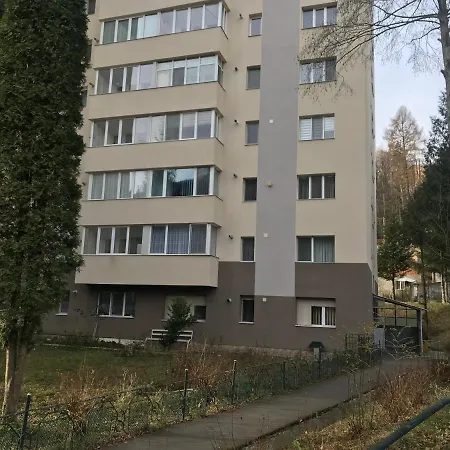 Center Apartment Sinaia